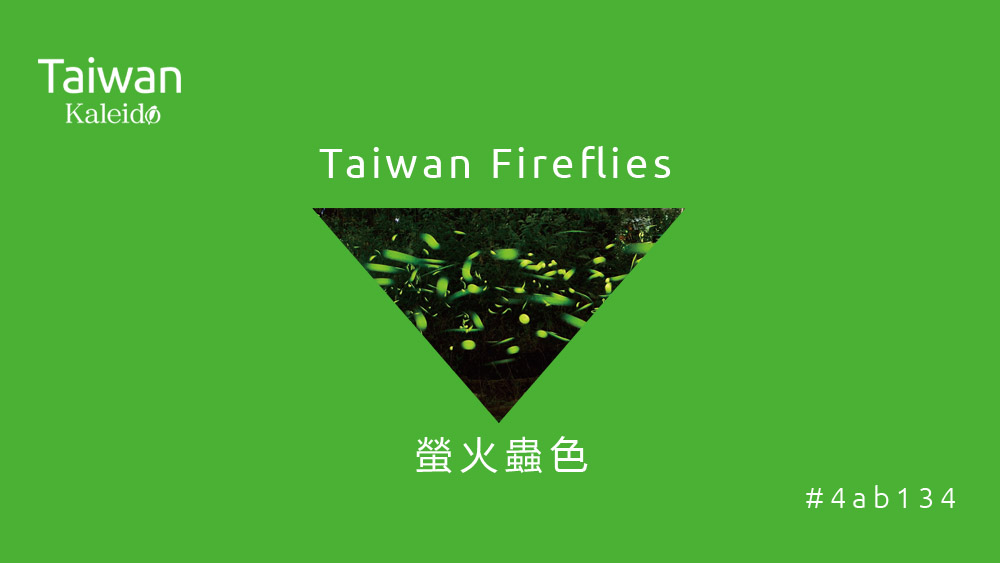 本週精選：螢火蟲色 Taiwan Fireflies #4ab134